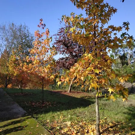 Casa De Apeleiras לינה וארוחת בוקר Marco de Canavezes