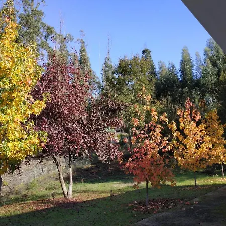 Casa De Apeleiras 4*