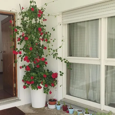 לינה וארוחת בוקר Casa De Apeleiras