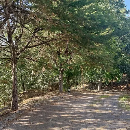 Casa De Apeleiras לינה וארוחת בוקר Marco de Canavezes