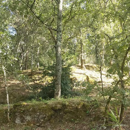 Casa De Apeleiras לינה וארוחת בוקר 4*