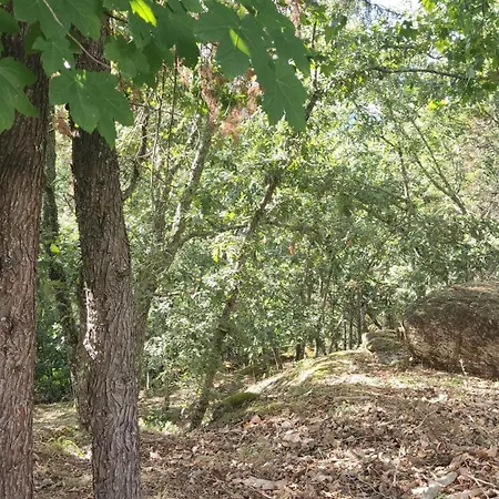 Casa De Apeleiras לינה וארוחת בוקר 4*