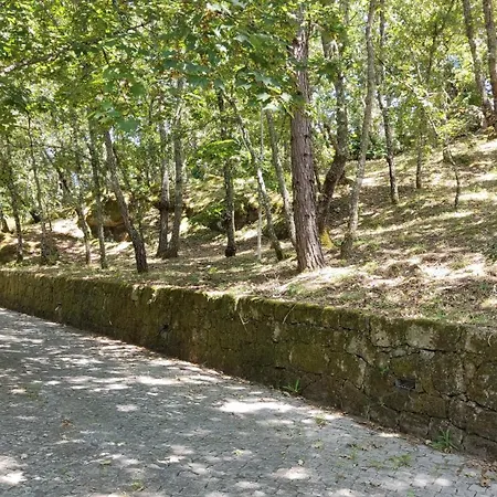 Casa De Apeleiras 4* Marco de Canavezes