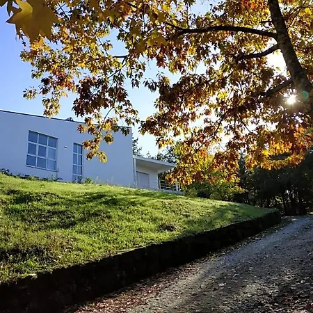 Oda ve Kahvaltı Casa De Apeleiras Marco de Canavezes
