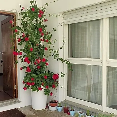 Casa De Apeleiras