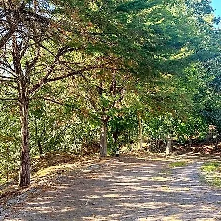 Oda ve Kahvaltı Casa De Apeleiras 4*