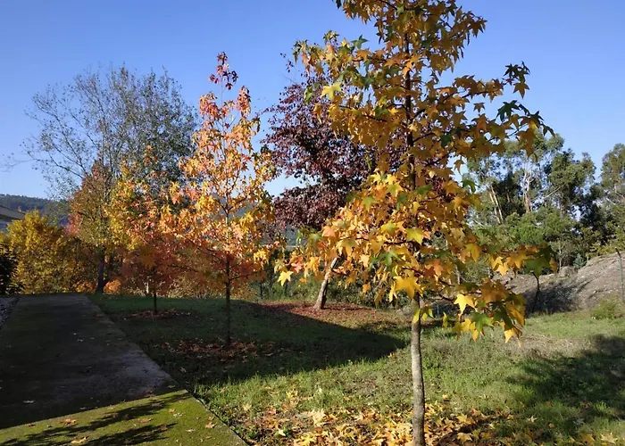 Casa De Apeleiras Alojamento de Acomodação e Pequeno-almoço Marco de Canavezes