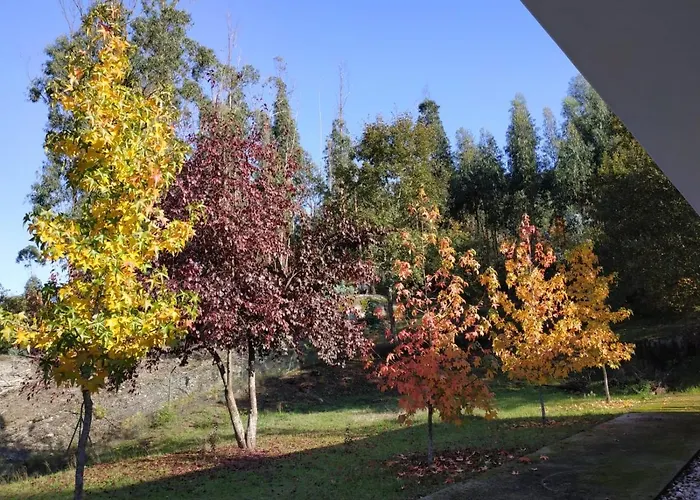 Casa De Apeleiras 4*