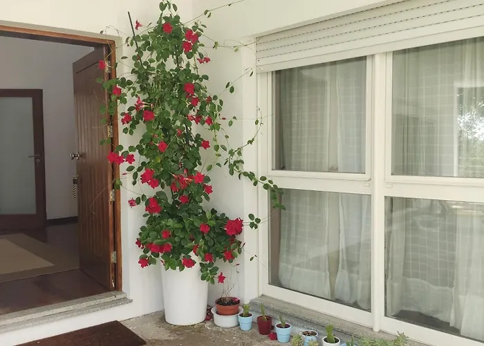 Bed & Breakfast Casa De Apeleiras