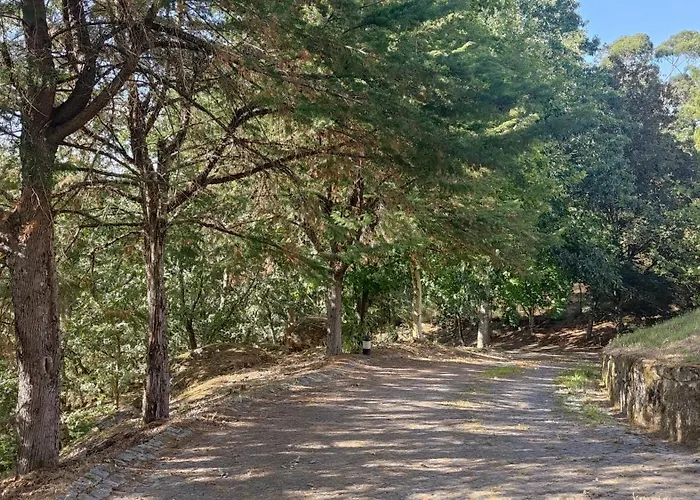 Casa De Apeleiras Bed & Breakfast Marco de Canaveses