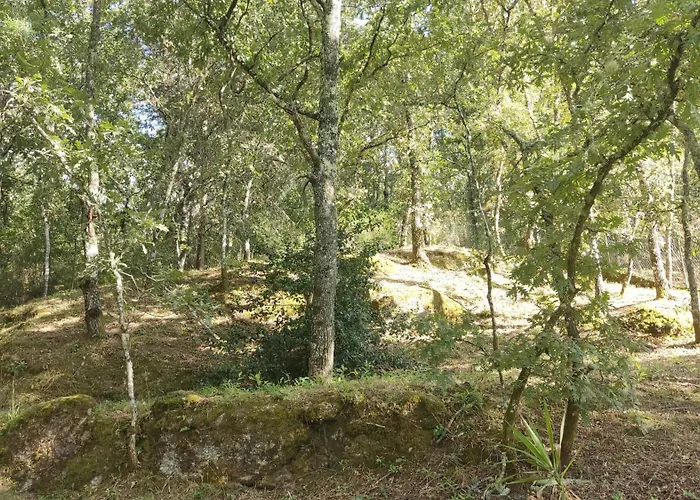 Casa De Apeleiras Bed & Breakfast 4*