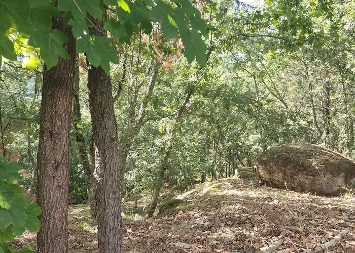 Casa De Apeleiras Bed & Breakfast 4*